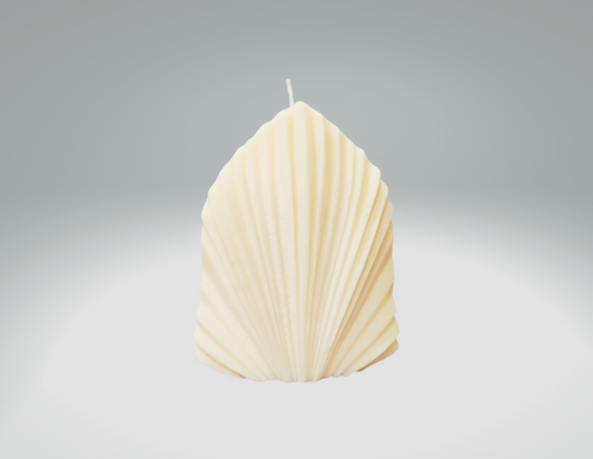 Coral Shell - Large Decor
